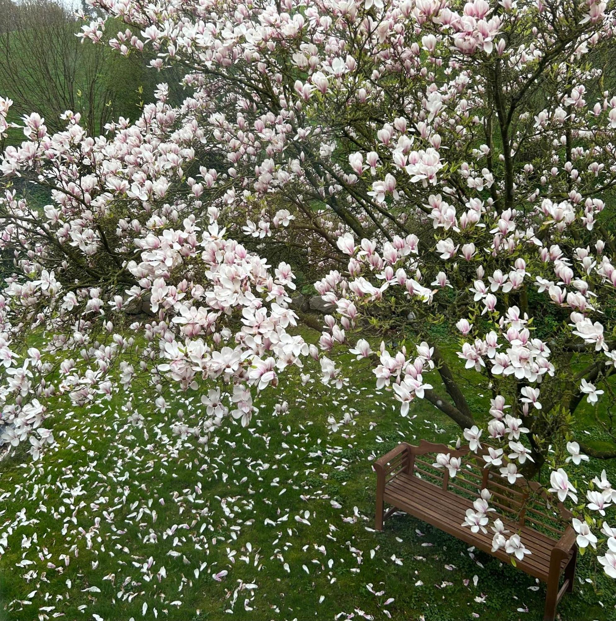 Ferien Und Freizeithof Engelau - Zi 6 Apartment Giekau ภายนอก รูปภาพ